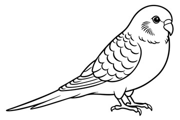 budgerigar line art silhouette vector illustration