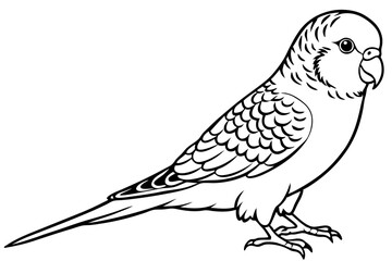 budgerigar line art silhouette vector illustration