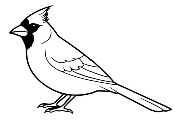 cardinal line art silhouette vector illustration