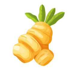 A Simple flat 2D icon Aloe vera branch isolated on transparent background, vector, flat design, animation design, simple flat 2D icon, minimalist design, clipart, illustration