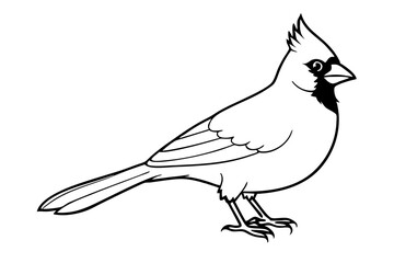 cardinal line art silhouette vector illustration