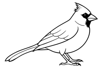 cardinal line art silhouette vector illustration