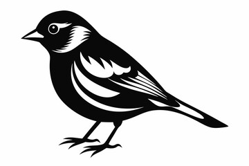 chaffinch line art silhouette vector illustration