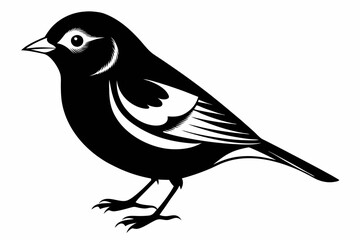chaffinch line art silhouette vector illustration