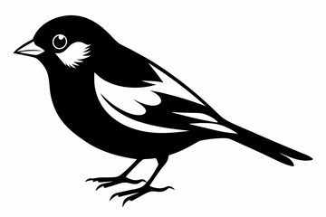 Fototapeta premium chaffinch line art silhouette vector illustration