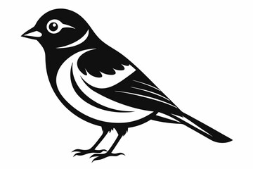 Obraz premium chaffinch line art silhouette vector illustration