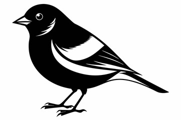 chaffinch line art silhouette vector illustration