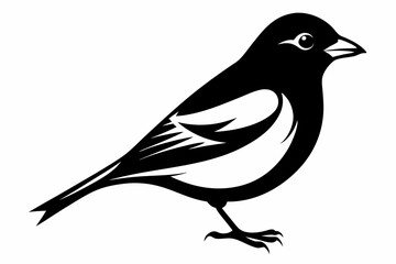 chaffinch line art silhouette vector illustration