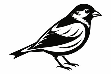 chaffinch line art silhouette vector illustration