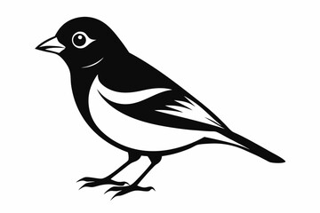 chaffinch line art silhouette vector illustration