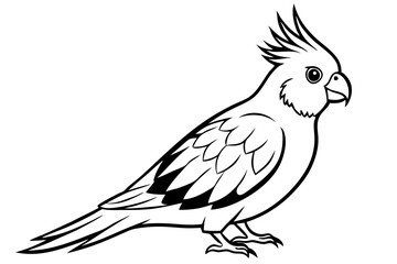 cockatiel line art silhouette vector illustration