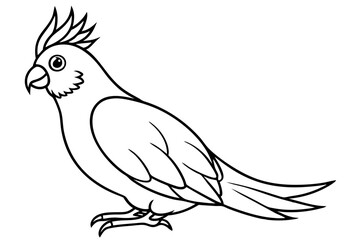 cockatiel line art silhouette vector illustration