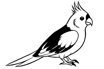 cockatiel line art silhouette vector illustration