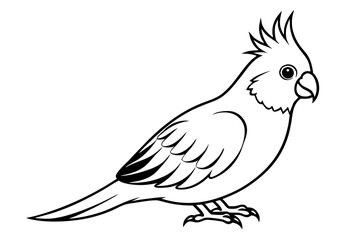 cockatiel line art silhouette vector illustration