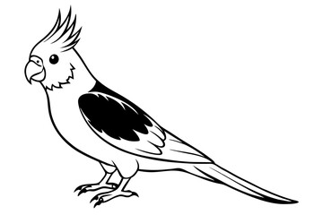 Obraz premium cockatiel line art silhouette vector illustration