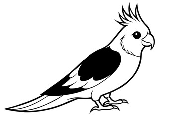 cockatiel line art silhouette vector illustration
