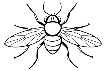 flie line art silhouette vector illustration