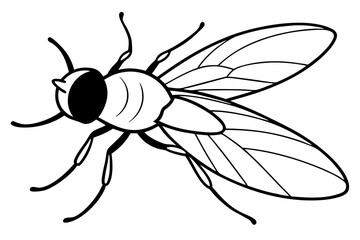 flie line art silhouette vector illustration