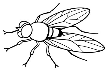 flie line art silhouette vector illustration