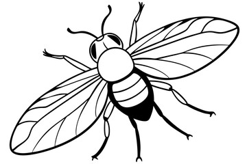 flie line art silhouette vector illustration