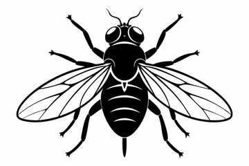 flie line art silhouette vector illustration