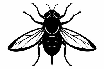 flie line art silhouette vector illustration