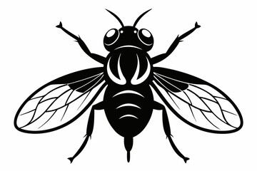 flie line art silhouette vector illustration