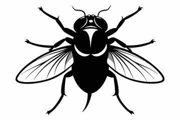 flie line art silhouette vector illustration