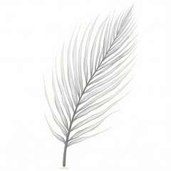 Obraz premium sketch palm leaf with realistic illustration