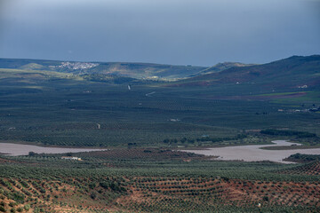 Aerial view of Pantano de Guadalen surrounded by olive groves and hills