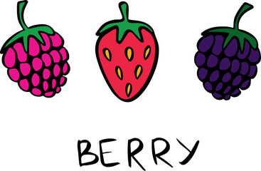 berris raspberry strawberry blackberry doodle set