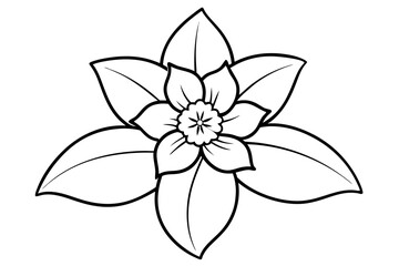 hellebore flower line art silhouette vector illustration