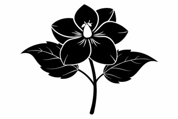 hellebore flower line art silhouette vector illustration