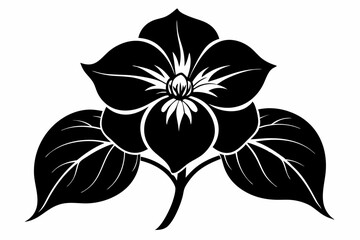 hellebore flower line art silhouette vector illustration
