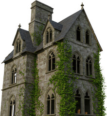 Fototapeta premium Overgrown Stone Mansion A Gothic Style House Covered in Ivy A Picturesque View of Derelict Architecture