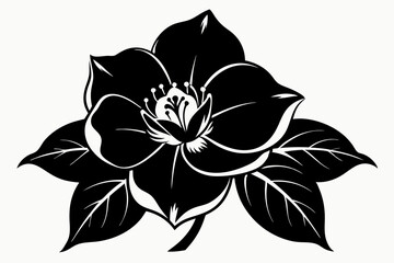 Fototapeta premium hellebore flower line art silhouette vector illustration