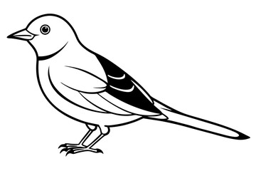 lark bird line art silhouette vector illustration