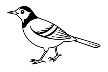 lark bird line art silhouette vector illustration