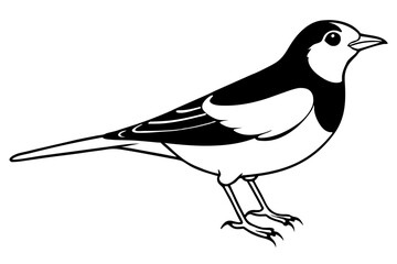 lark bird line art silhouette vector illustration