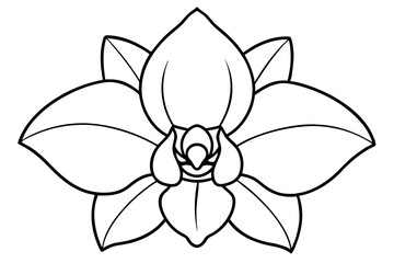 orchid flower line art silhouette vector illustration