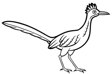 roadrunner line art silhouette vector illustration