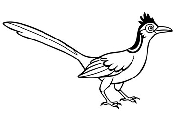 roadrunner line art silhouette vector illustration