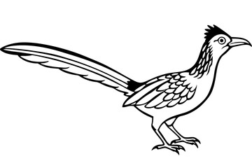 roadrunner line art silhouette vector illustration