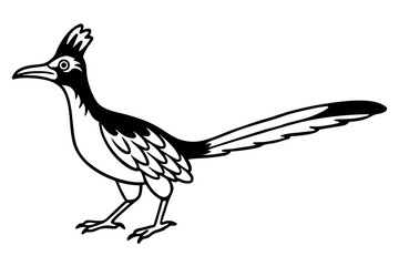 roadrunner line art silhouette vector illustration