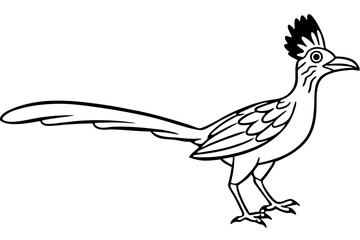 roadrunner line art silhouette vector illustration