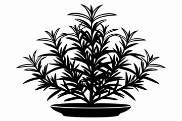 rosemary line art silhouette vector illustration