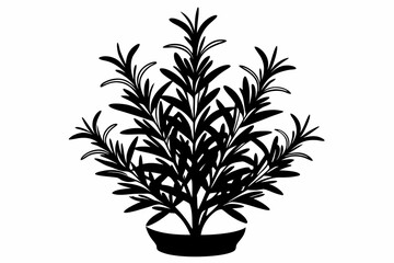 rosemary line art silhouette vector illustration