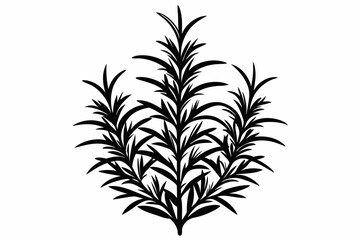 rosemary line art silhouette vector illustration