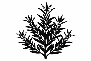 rosemary line art silhouette vector illustration