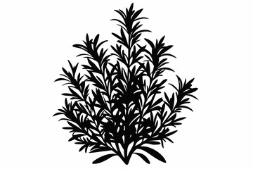rosemary line art silhouette vector illustration